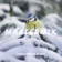 Mastermix #761 (December 2024)