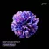 Deep Sound Effect feat. Artem Zubarev - Somebody
