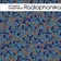 Heyspace & HungryBeat - Radiophonika #162 Track 1