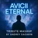 Avicii Eternal - Tribute Mashup by Andrey Gagarin