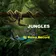 Jungles 8