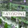 TATOOINE 110