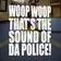 KRS-One - Sound of da Police (Robert Georgescu and White Remix)