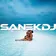 SANEKDJ - #RUSSIANMIX02.09.2025