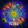 [CD239] Perfecto Fluro I - 2025.04.12