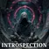 INTROSPECTION
