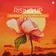 Christina Novelli, ZOYA - Rising Up (HeySpace & HungryBeat Remix)