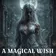 A MAGICAL WISH