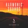 Harmonic Sounds 134