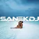SANEKDJ - #DЕКАБРЬ20.12.2025