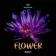 [CD267] Flower 2026.02.06