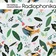 Heyspace & HungryBeat - Radiophonika #215