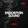 Special Mix For ENDORPHIN SOUND #484