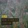 Stild Music Session #26