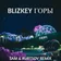 BLIZKEY - Горы (DJ SAM & RUBTSOV Remix)