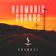 Harmonic Sounds 166