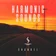 Harmonic Sounds 167