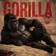 TinTolis - Gorilla