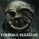 TERRIBLE PLEASURE