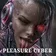 PLEASURE CYBER