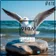 Pleasure 478