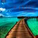 Wonderland #007