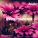 Slow Vibes #02