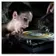 Melodic Deep House