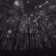 Deep Grooves 001