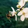 Springology #2 (Promo Mix Spring 2017)