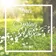 RAEV - Spring Vibes Mix 2017(No Jingle)