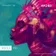 INSOLA | 056 (January '18)