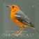 Chromacast 41