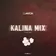 Dj Anton - Kalina Mix (Part 50) Track 16
