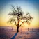 Glimmer: Wintershine [December 2018] 