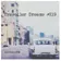 Traveller Dreams #019