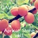 DAV - Apricot Stone VOL.1 (live)
