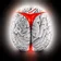 Brains 5