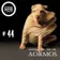 # Modulating The Air 044 ( 22-NOV-2019)