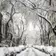 search for traces (deep story nr. 131)