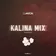 DJ Anton - Kalina Mix (Part 63) Track 13