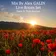 GALIN - Live Room Set (04.03.2020) Track 03