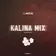DJ Anton - Kalina Mix (Part 64) Track 17