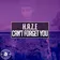 Can't Forget You