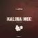 DJ Anton - Kalina Mix (Part 66) Track 20