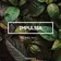 SNEBASTAR - Impulsia Mix vol.12 (2021) Track 14