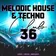 Club 36 (Melodic House & Techno)