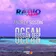 Andrey Sostin - RDO #145 Track 07
