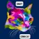 SnaFF - Coma Cat Track 16