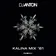 DJ Anton - Kalina Mix (Part 81) Track 16